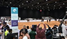 2025年阿布扎比狩猎展门票购买方式,多少钱一张?