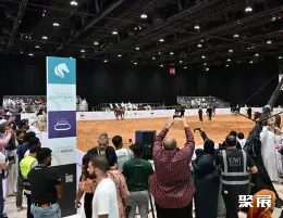 阿布扎比刀展展会现场(现场盛况)8