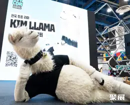 韩国首尔潮玩展展会现场(现场盛况)4