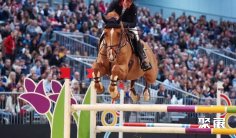 德国马术展2025门票价格