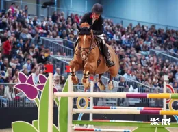 德国马术展现场图片4