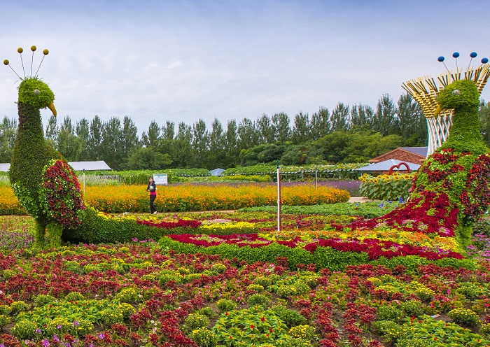 Changchun Agricultural Exposition Garden