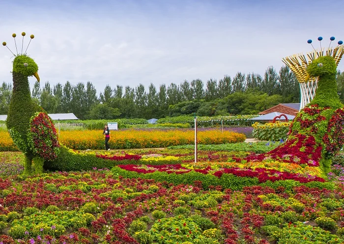长春农业博览园图片5