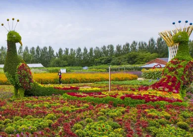 Changchun Agricultural Exposition Garden