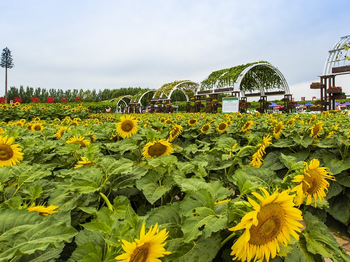 Changchun Agricultural Exposition Garden