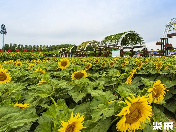 Changchun Agricultural Exposition Garden