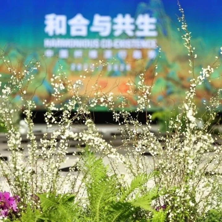 大美国风点亮纤维之光！桐昆·中国纤维流行趋势2023/2024隆重发布