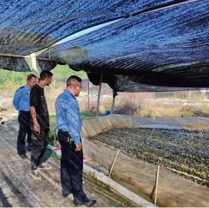 推进牛蛙绿色健康养殖！这一地开展牛蛙养殖行业风险隐患整改行动