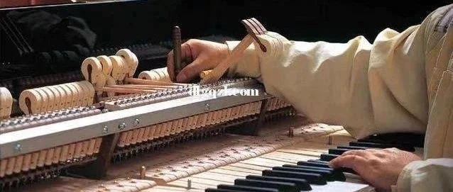 中国乐器协会职业能力评价总站--上海站2023年第二批职业等级评价的通知