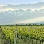 5.20-22第34届Interwine智利展团——新世界标杆，稳步开拓中国市场