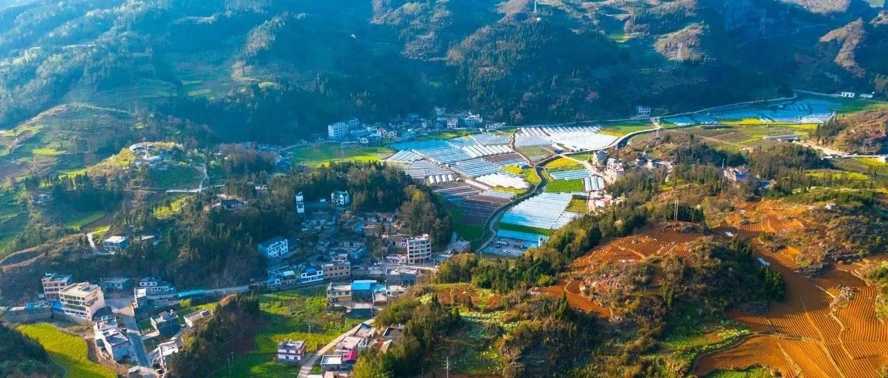 焦点话题 | 农业农村部等五部门印发《关于金融支持全面推进乡村振兴 加快建设农业强国的指导意见》