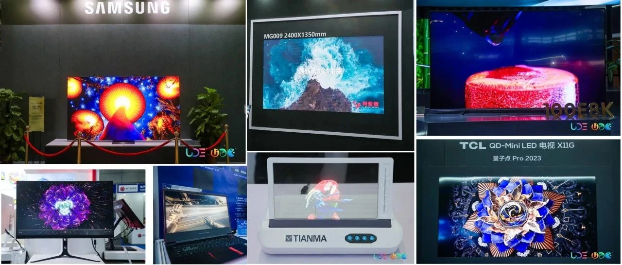 展示主题① | 聚焦Mini/Micro LED产业热点，核心企业大咖云集，UDE2024开年大展，你来不来？