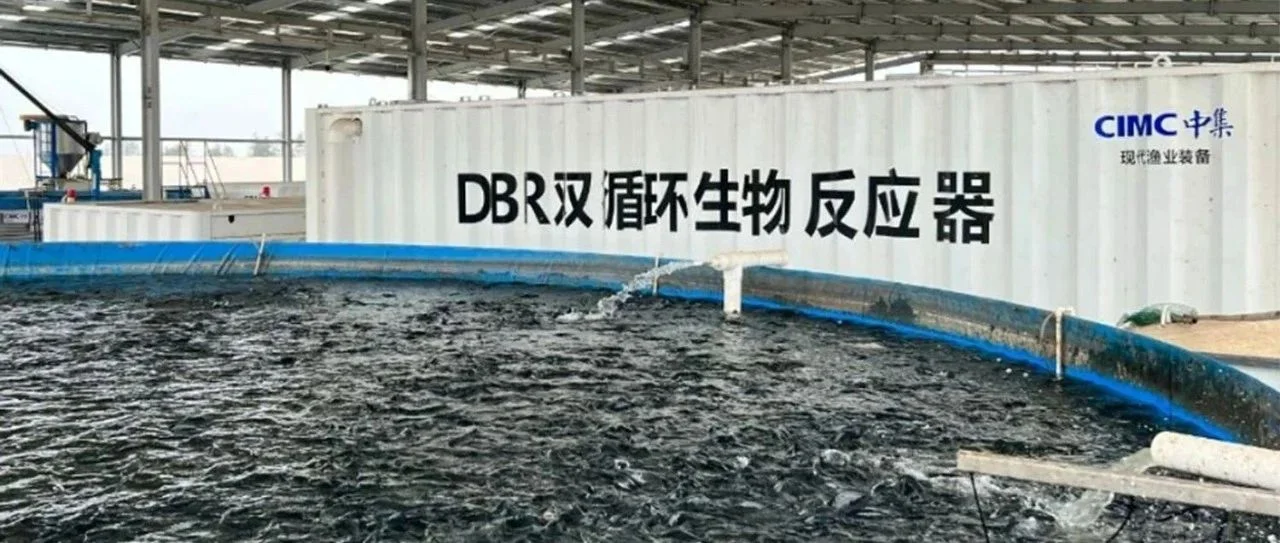 中集集团开展罗非鱼RAS养殖项目