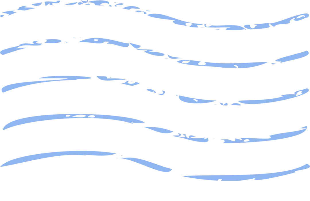 CIHS 2024招展有序，招商精准，助力开拓更多商机！