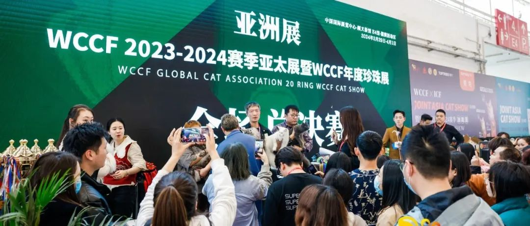 赛事回顾丨WCCF＆ICF亚洲展雄鹰京宠展首赛圆满成功