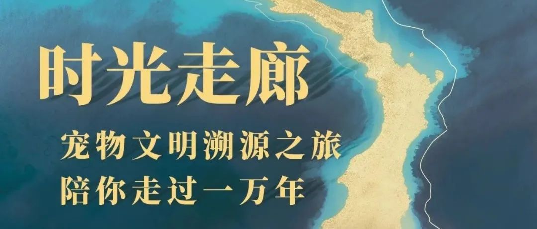 CIPS寵物文明溯源特展 | 漢代綠釉陶狗舍