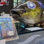 一網鮮 | 720斤西班牙藍鰭金槍魚驚艷亮相！引爆第19屆上海國際漁業博覽會