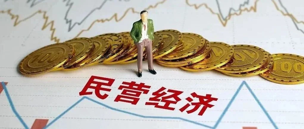 焦点话题 | 重磅！支持民营经济发展，25条具体举措来了