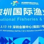 BIA休闲船艇集体展团亮相2024深圳国际渔博会