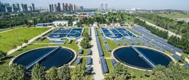 污水厂瘫痪！元凶竟然是它？生态环境厅曾多次公开通报！