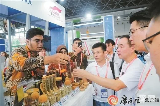 ​云上逛展，带你体验东博会上的各国风情