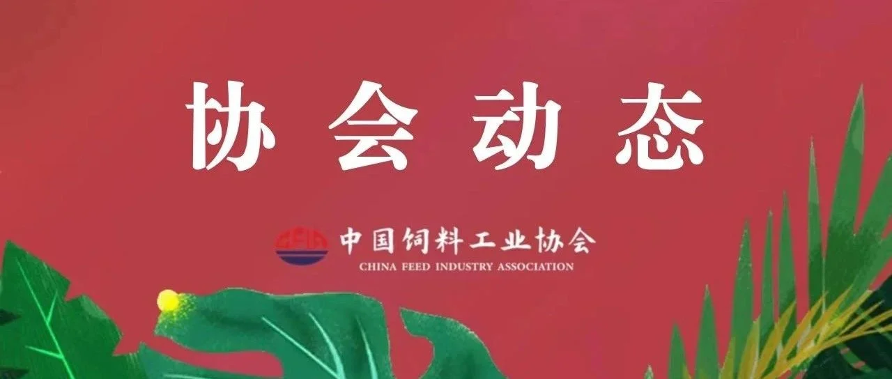 全球舞台 中国发声——CFIA首次参加GAPFA大会