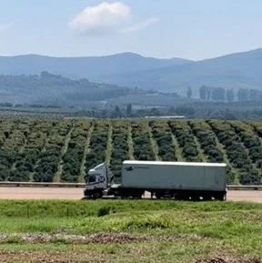 9月4日市场资讯：南非牛油果行业等待与中国最终确定的采后和运输协议；澳大利亚农产品在亚洲果蔬展上占据中心舞台