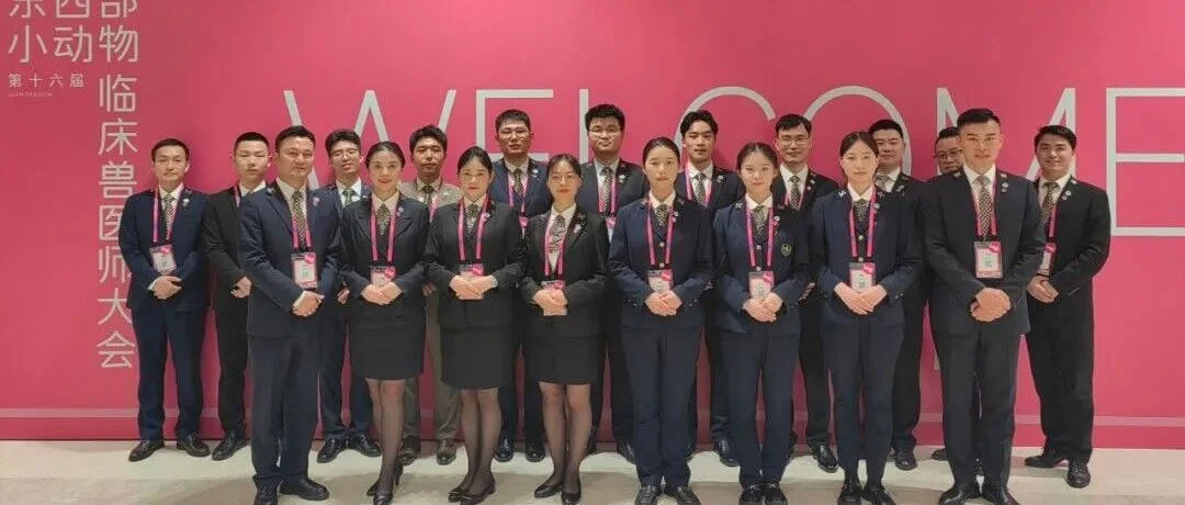 中国金钥匙为第十六届东西部小动物临床兽医师大会提供高品质服务保障