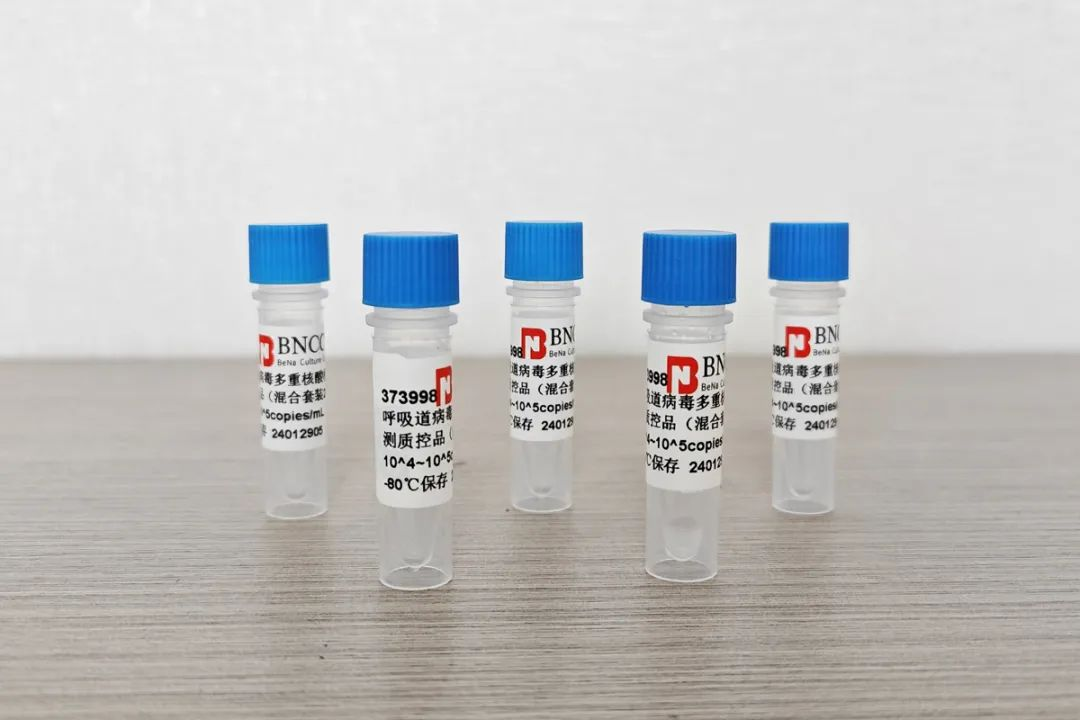 什么牌子生化仪试剂好CACLP·CISCE 2024新品预告（八）热景、丹大、鲲鹏、宝日医、卓诚惠生、千诚、北纳、库尔、层浪、利德曼、普迈德等_https://www.jmylbn.com_新闻资讯_第19张