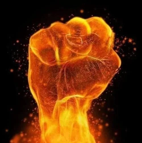 阳光纸业与建发浆纸集团达成战略合作 建发张晓晖进入董事会