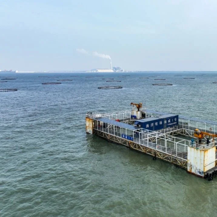 海威3号来了！金鲳鱼、鳘鱼...广东规模最大海上智能养殖平台致力深海养殖与渔业旅游结合