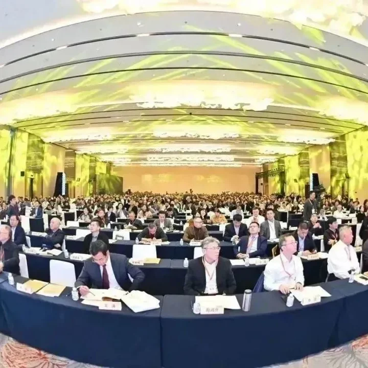 2023全球饰面大会在成都成功举办