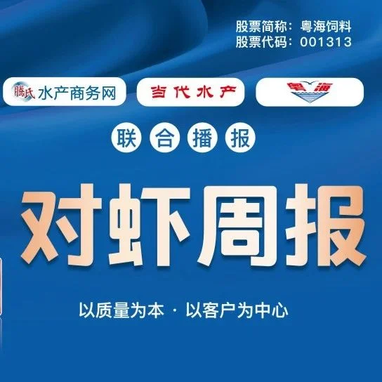 “今晚抓虾贵2块钱！”中秋全国虾价喜涨，20头白虾逼近34元，10头以内斑节虾超50元｜粤海联合播报