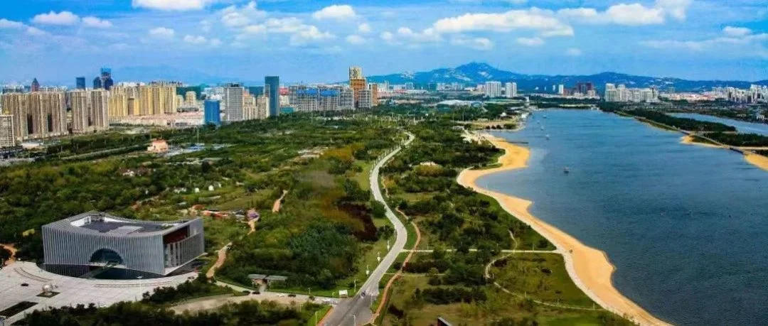 “群象经济”向上进阶，齐鲁品牌“次第花开”丨制造业地理·山东集群①