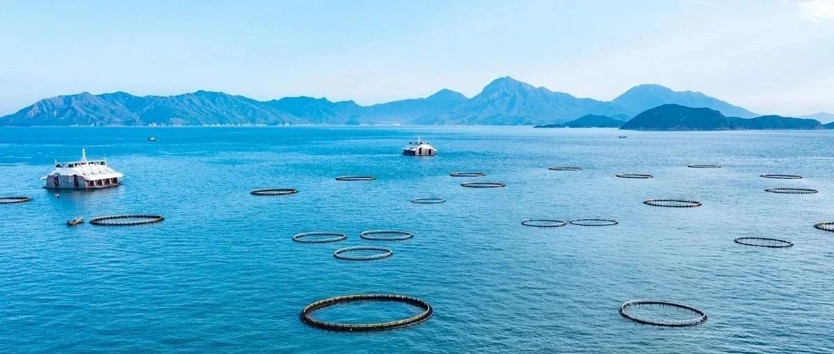 广东沿海14城发展“深蓝”农业 蓝色经济版图加速“扩容”