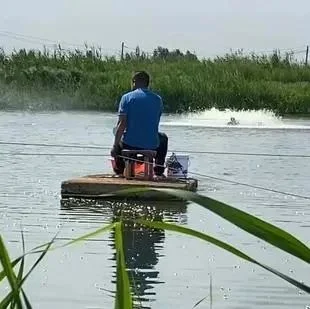 敲开“致富门”! 闯出了鲜虾养殖的“大市场”