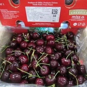 “圣诞节前夕，智利车厘子在市场上总是很受欢迎”