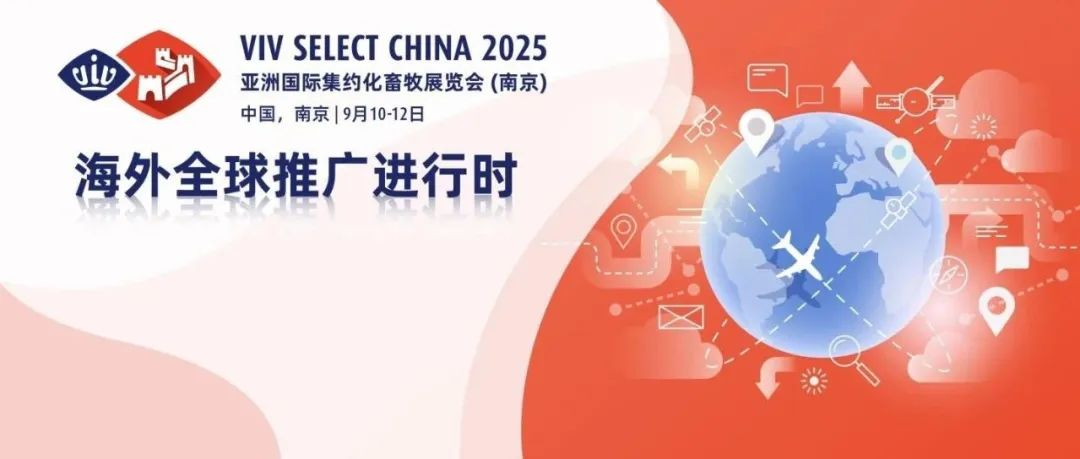 VIV Select China 2025 奔赴泰国VIV Asia 海外招展邀观推广,国内小分队全力出击精准邀约！