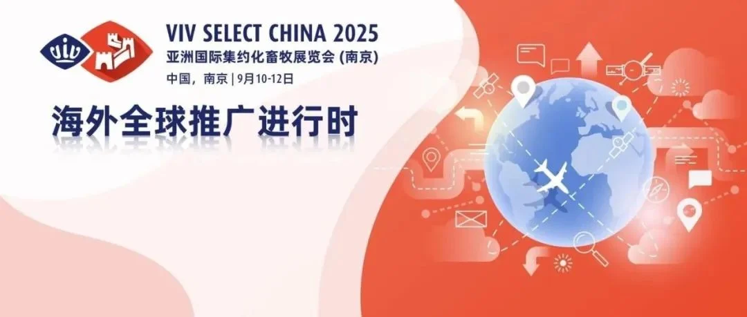 VIV Select China 2025 奔赴泰国VIV Asia 海外招展邀观推广,国内小分队全力出击精准邀约！
