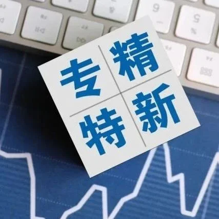 我国专精特新“小巨人”企业数量已达1.2万家