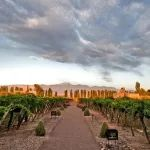 5.23-25第32届Interwine阿根廷展团——舌尖上的高原探戈