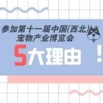 选择第十一届中国(西北)宠物产业博览会的五大理由