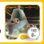 小宠玩家工作室&兽纪元诚邀您参观世宠会·重庆宠物展