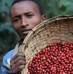 非洲好物“云”展示①丨“食”在非洲