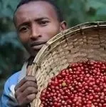 非洲好物“云”展示①丨“食”在非洲