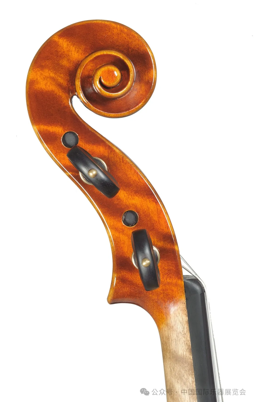 Piccinotti Violins