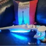 展商展品 || 法国新一代4/5/6/7弦宽频电声提琴
