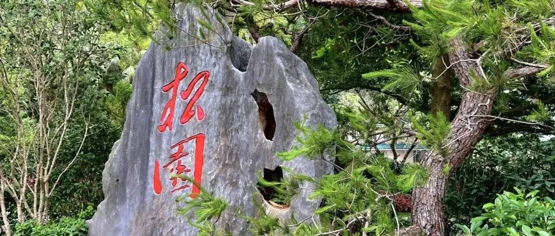 南国春意，草木关情 | 普邦股份助力广州松园宾馆提升改造