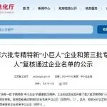 展商动态｜国家级专精特新“小巨人”企业，长江涂料复核通过！