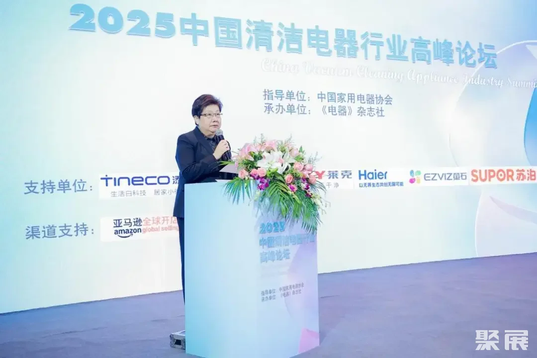 中国家用电器协会执行理事长姜风